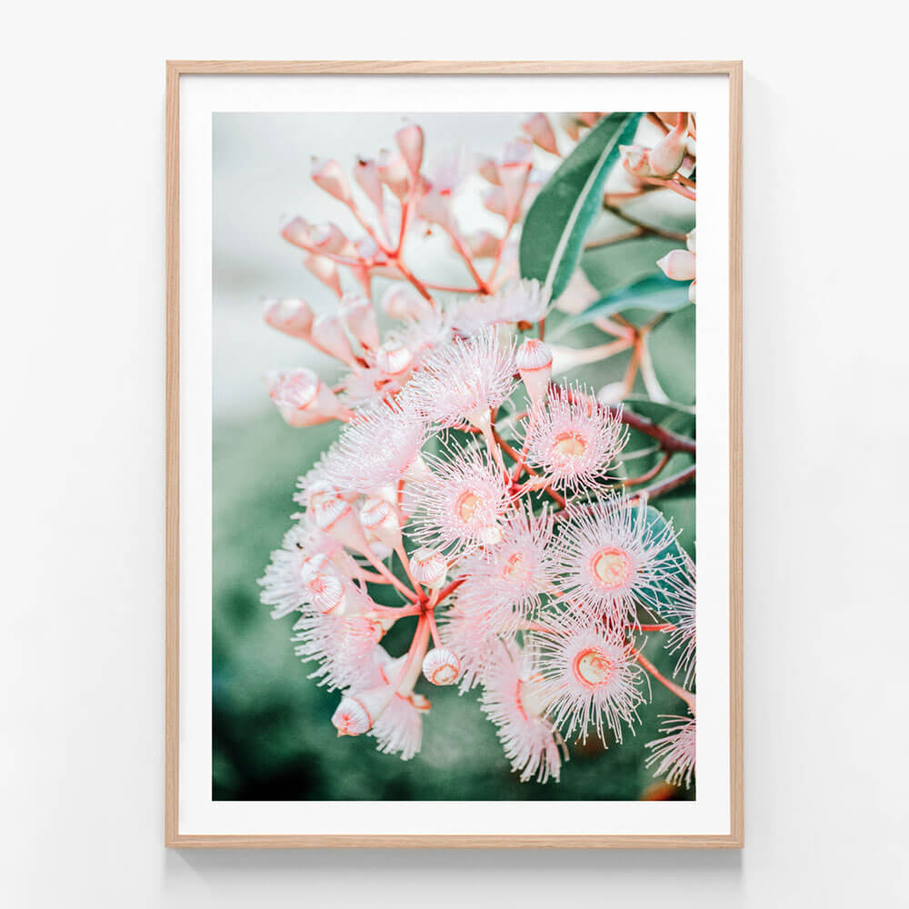 Pink Blossoms | Framed Print or Poster Wall Art | 41 Orchard Pink Blossoms | Framed Print or Poster Wall Art | 41 Orchard