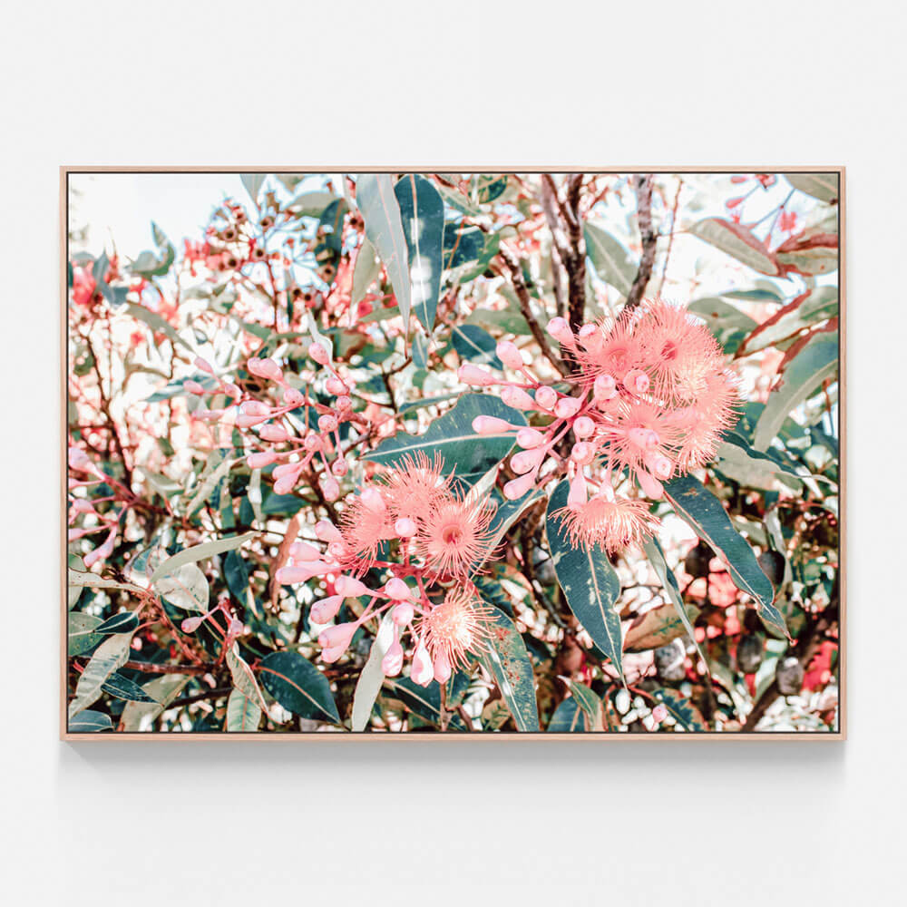 Australian Florals Canvas Wall Art Print | Orchard