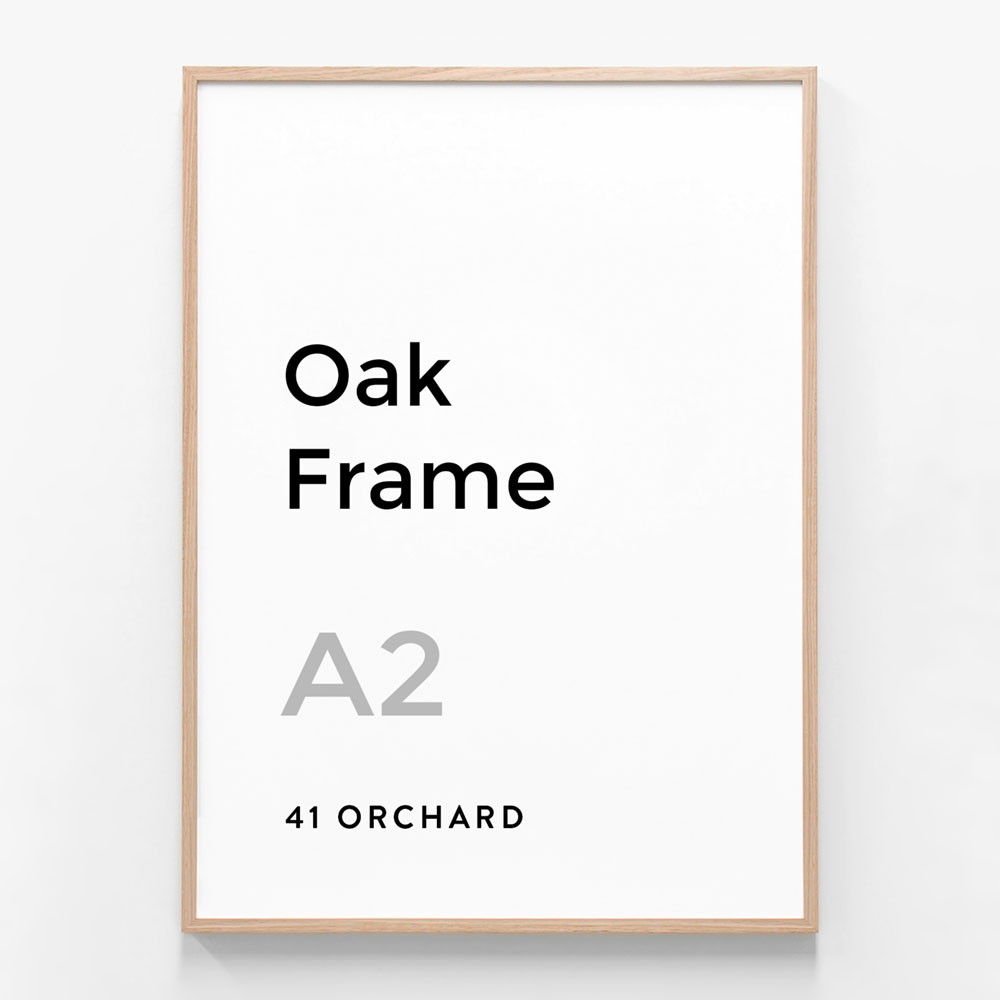 A2 X 42 Cm Silver Snap Frame 25MM Profile 42 OFF