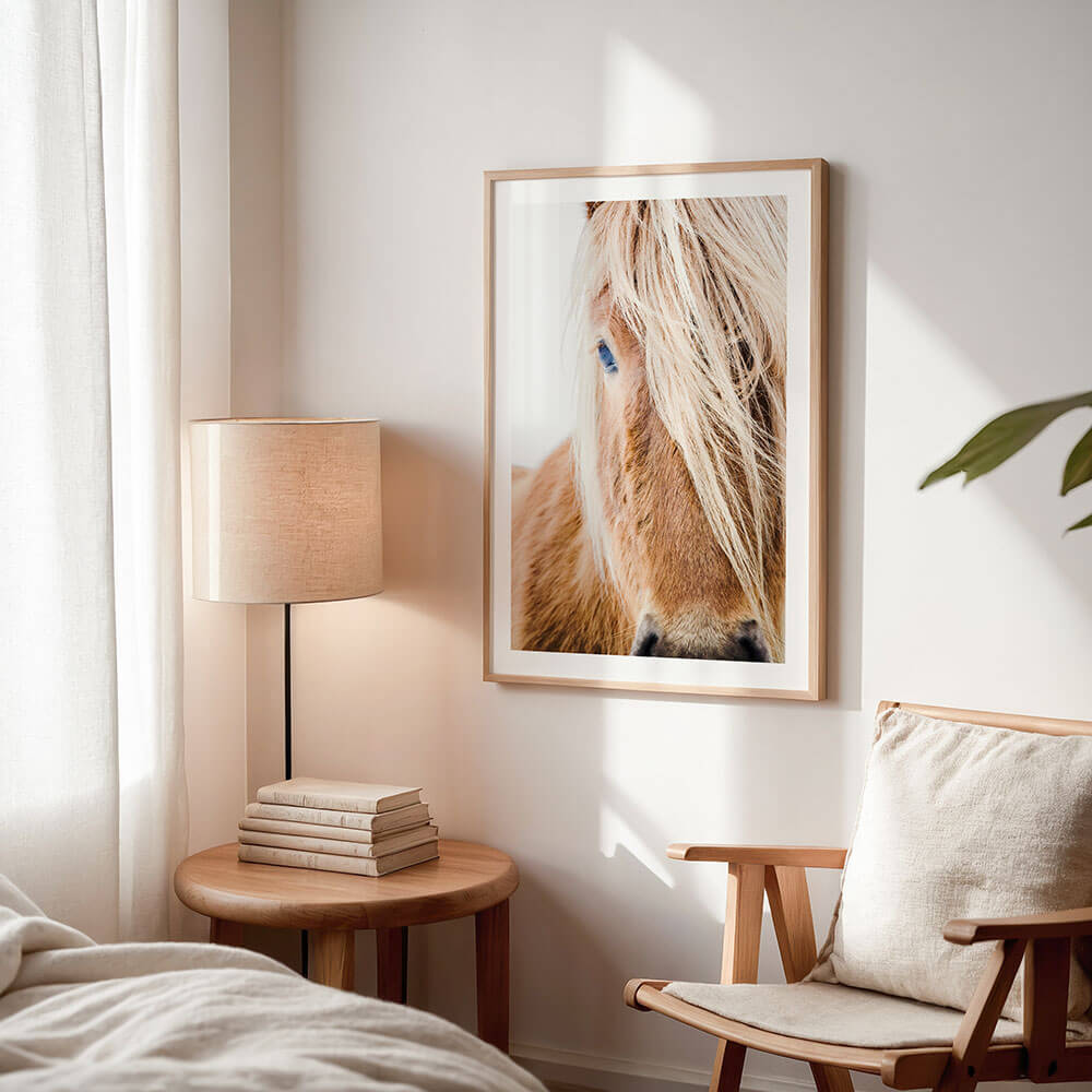An Icelandic Horse Wall Art Framed Photography Print In Oak