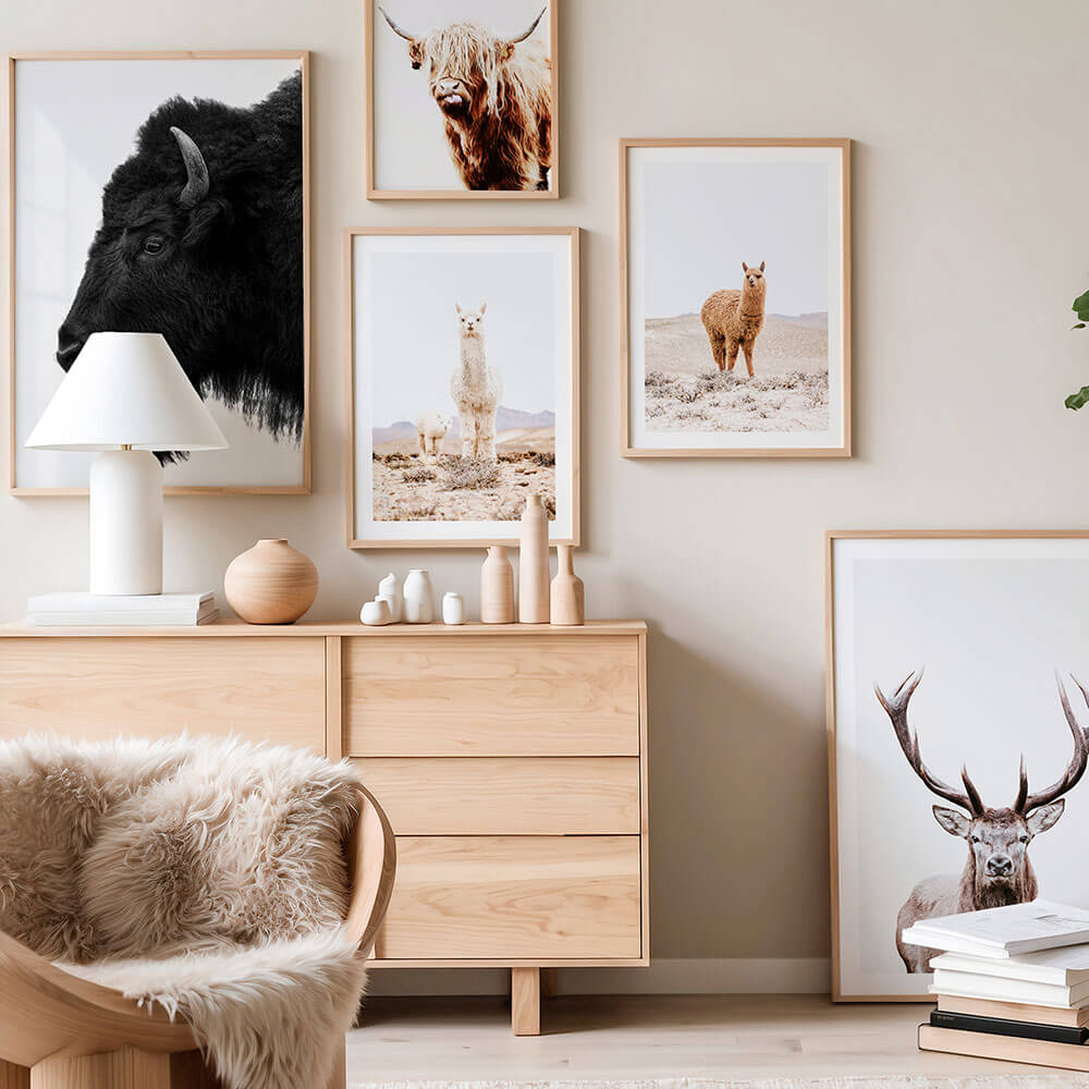 A gallery wall of animal and bird photography wall art prints.