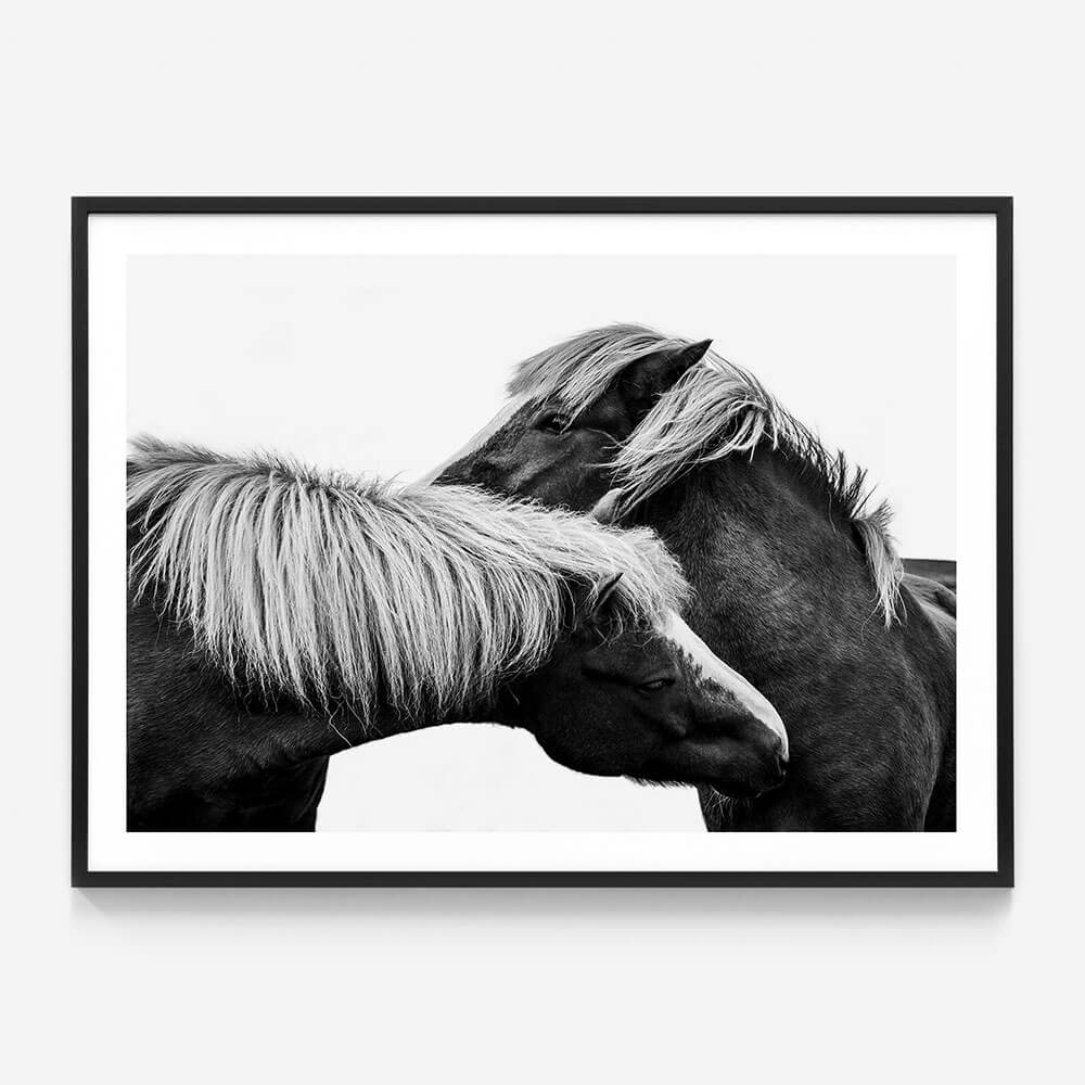 Affection