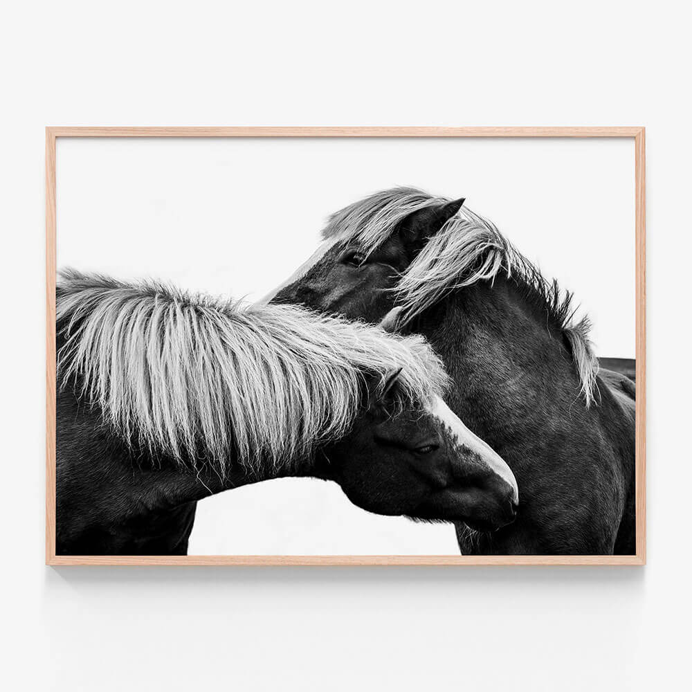 Affection