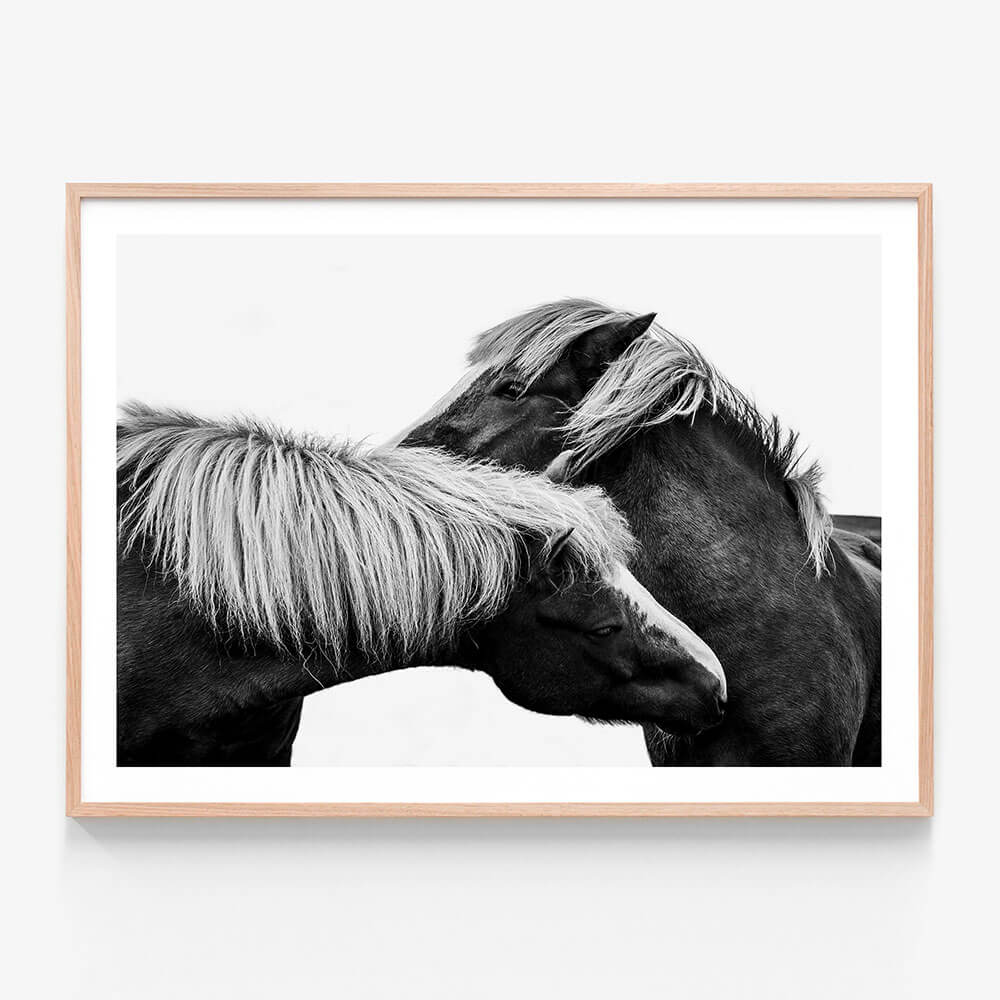 A framed artwork of a black and white photo showing two horses interacting.