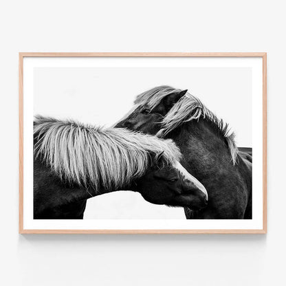 A framed artwork of a black and white photo showing two horses interacting.