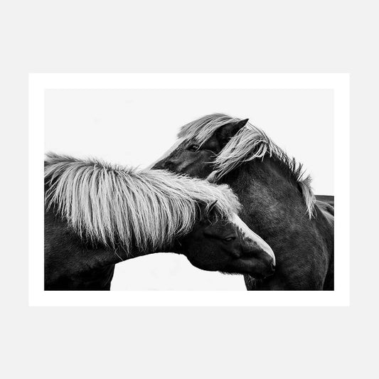 A black and white photo print showing two horses interacting.
