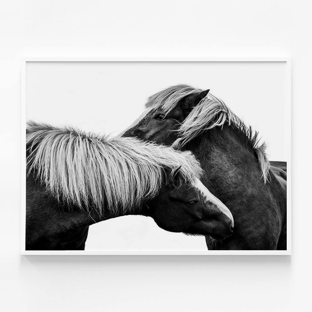 Affection