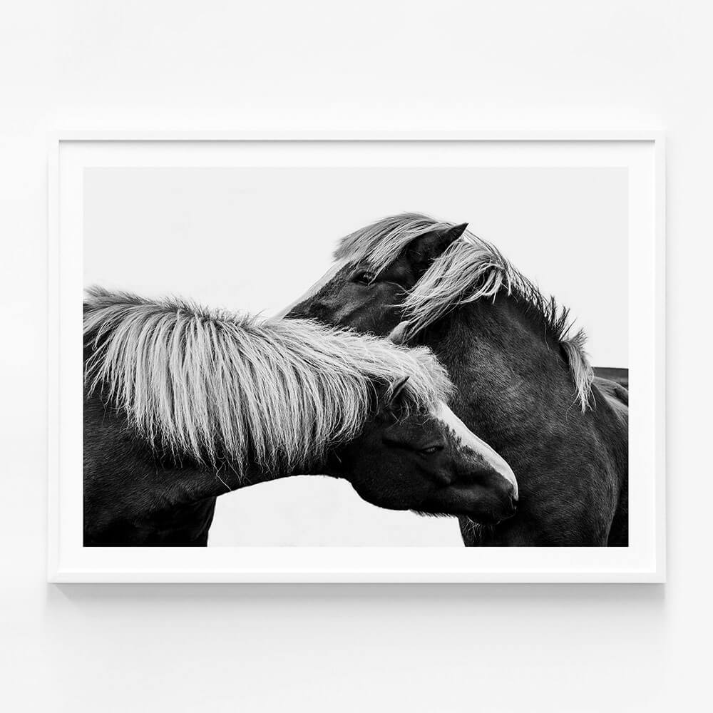 Affection