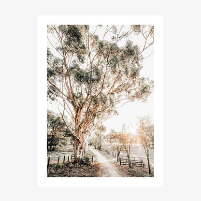Afternoon Sun wall art print