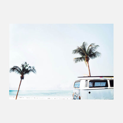 Afternoon Surf