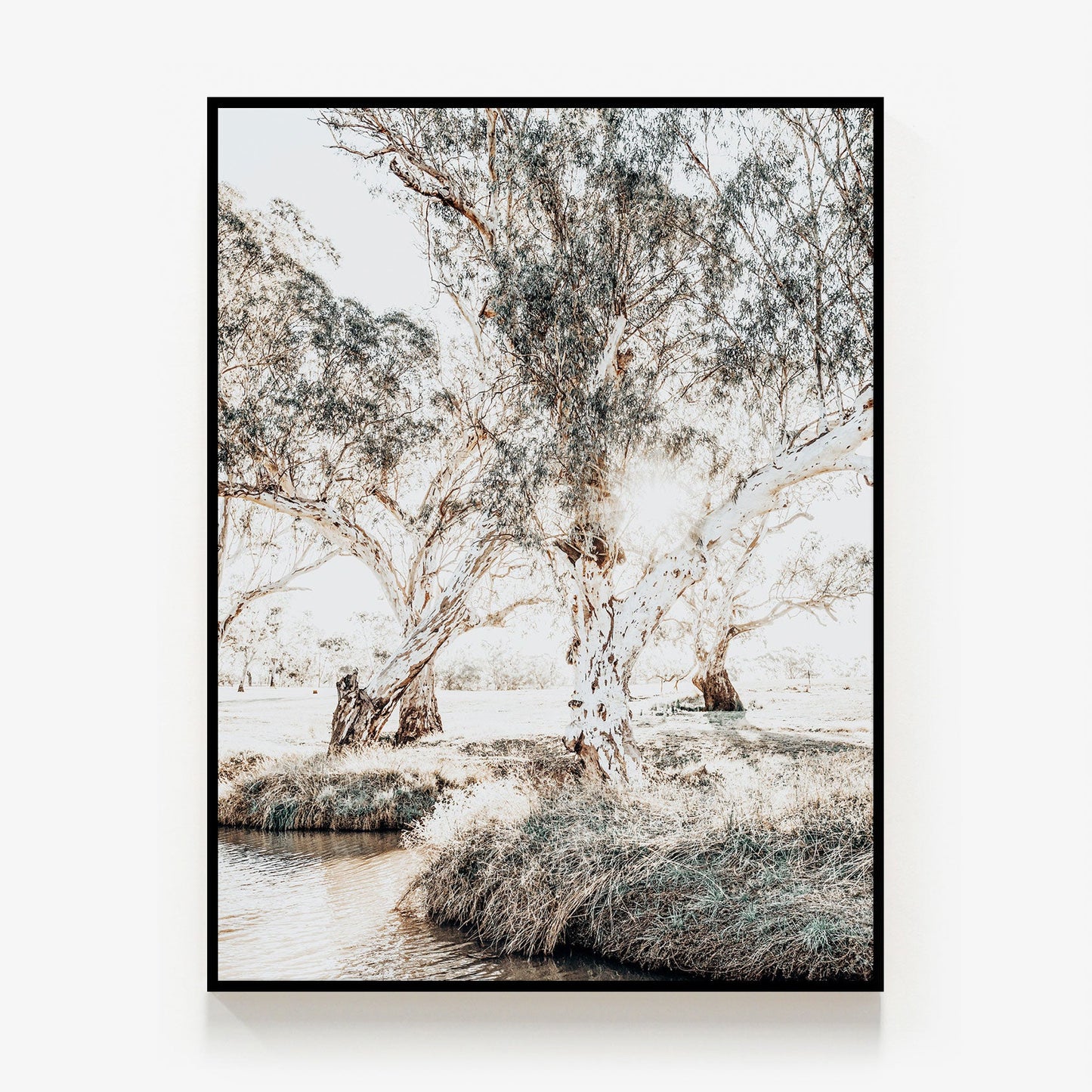 Afternoon at the Creek Canvas