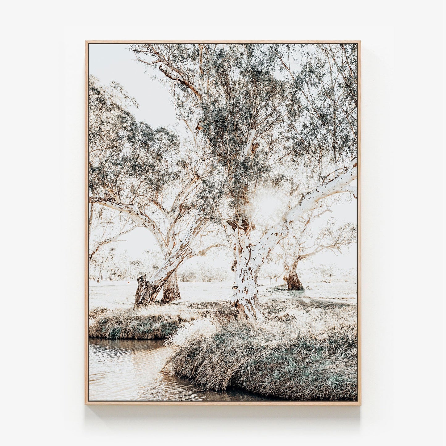 Australian Gum trees at the Creek Canvas wall art print with oak float frame