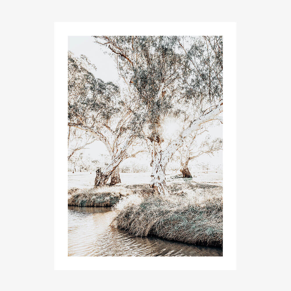 Afternoon at the Creek wall art print