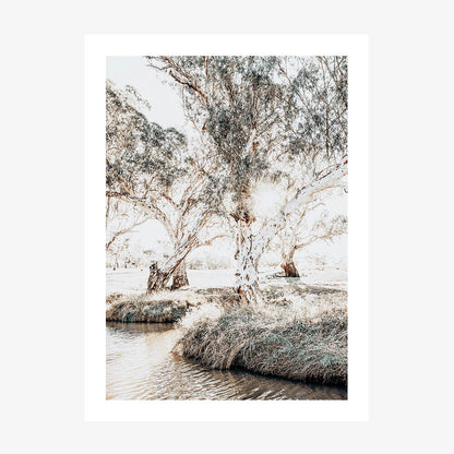 Afternoon at the Creek wall art print