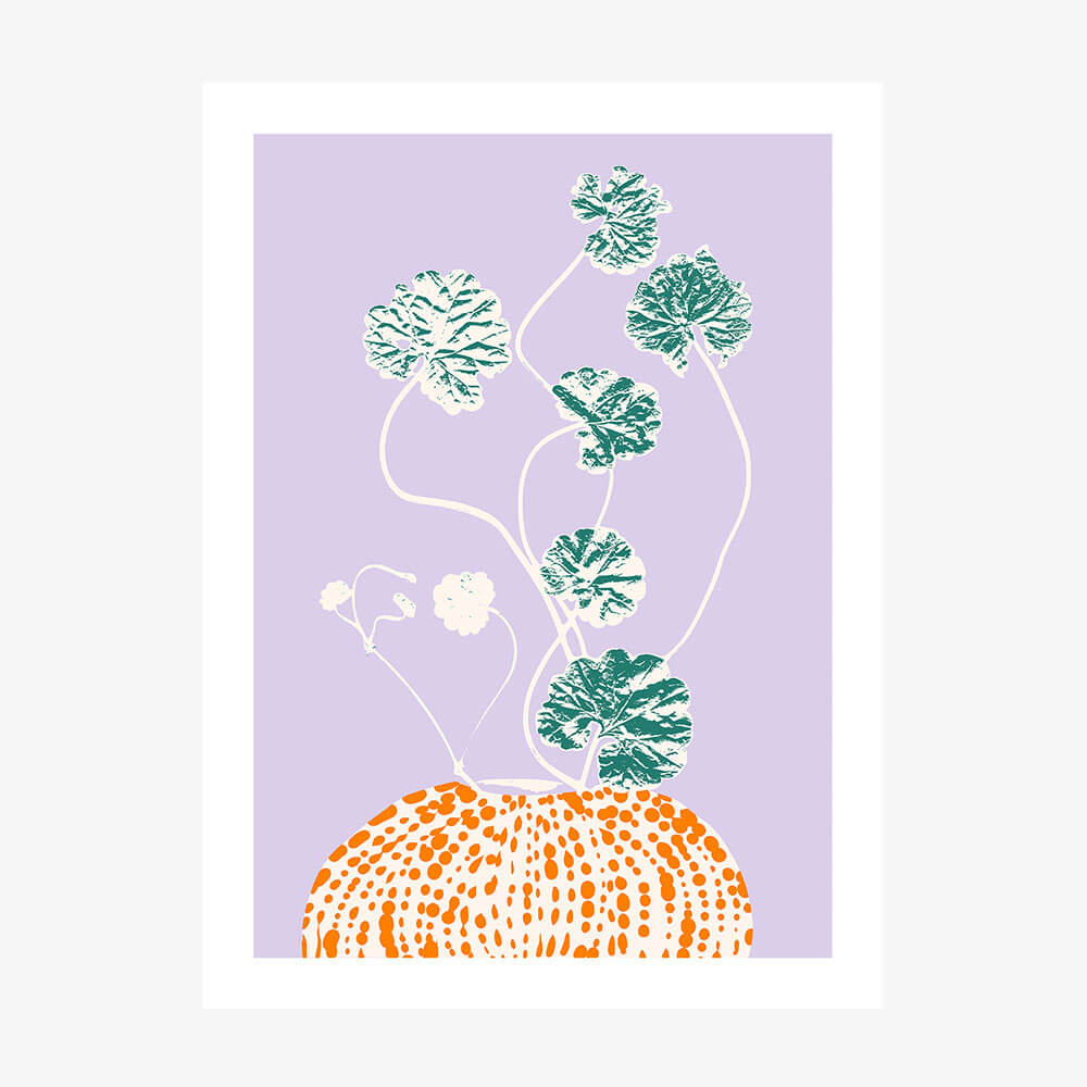 Ajunga Still Life