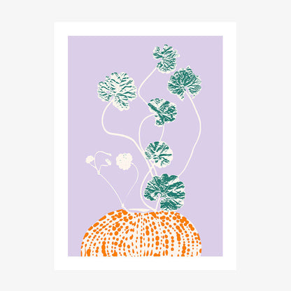 Ajunga Still Life