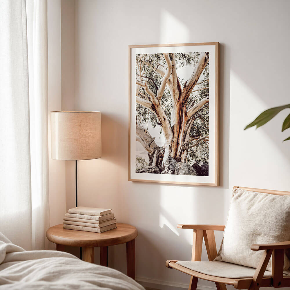 Alpine-Snow-Gum-Australian-Tree-Photo-Wall-Art-Print.jpg