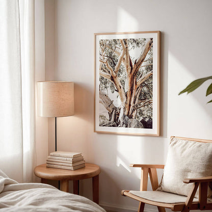 Alpine-Snow-Gum-Australian-Tree-Photo-Wall-Art-Print.jpg