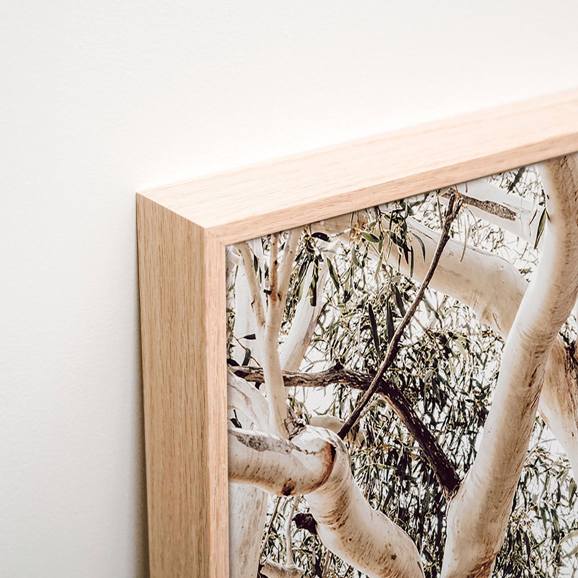 Alpine Snow Gum Canvas corner detail