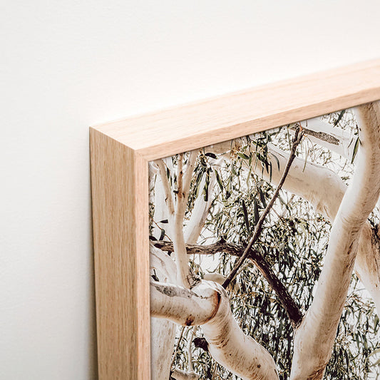 Alpine Snow Gum Canvas corner detail