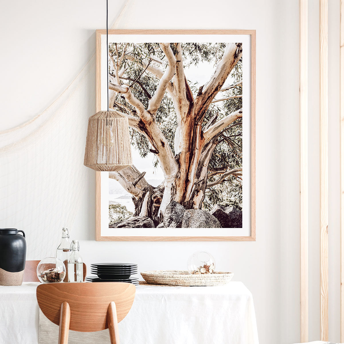 Alpine Snow Gum