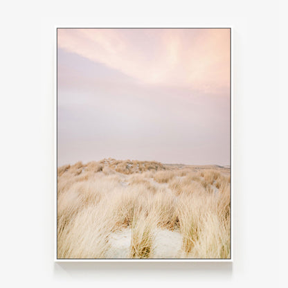 Ameland Dunes No. 2 Canvas