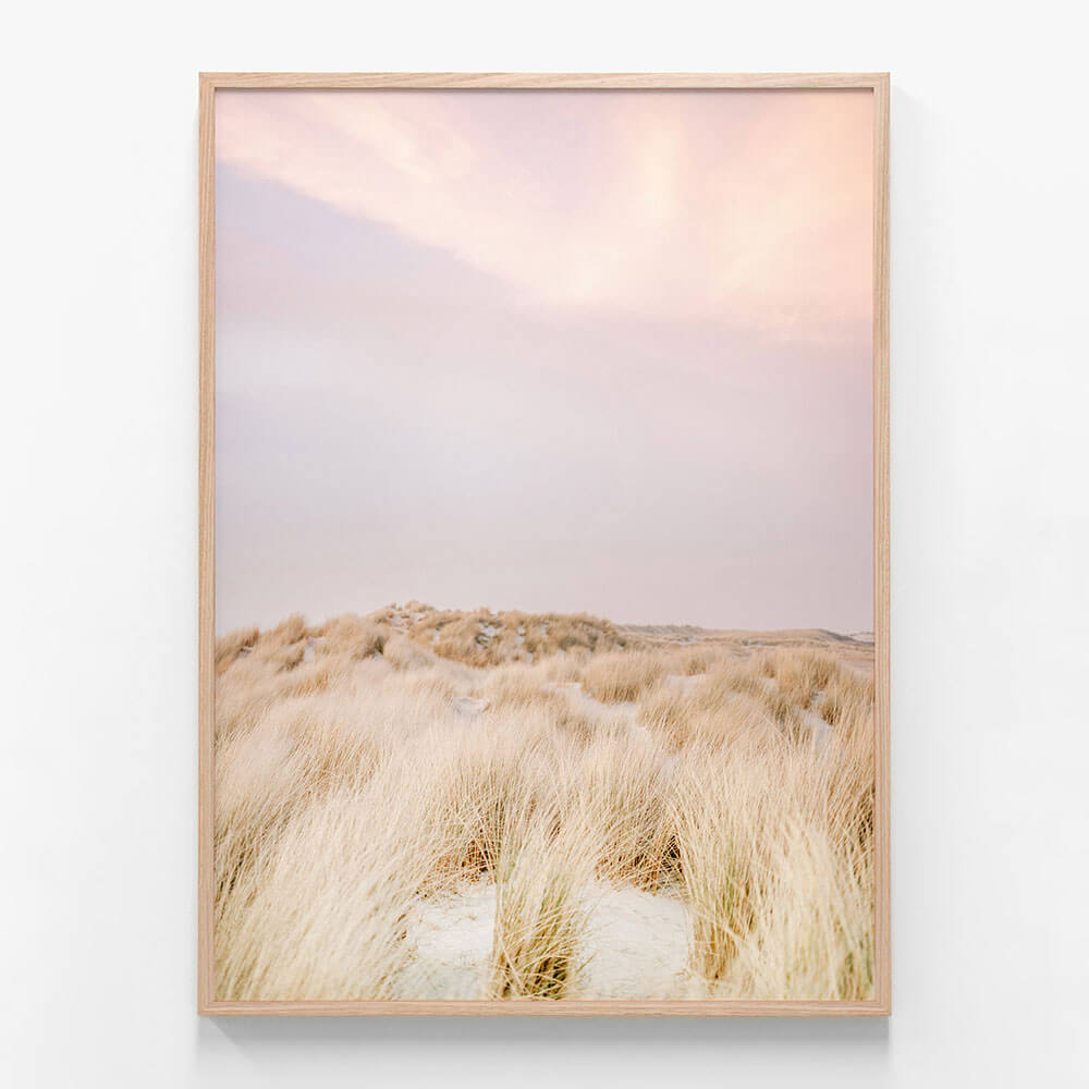Ameland Dunes No. 2