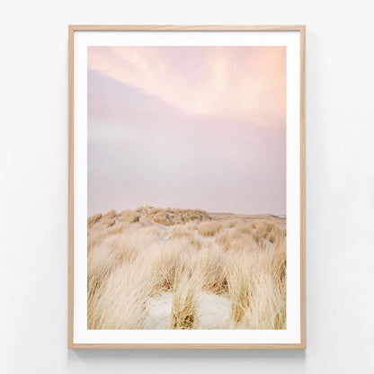 Ameland Dunes No. 2