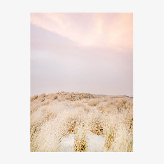Ameland Dunes No. 2