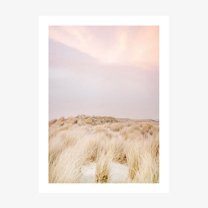 Ameland Dunes No. 2
