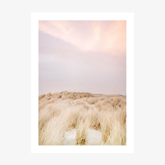 Ameland Dunes No. 2