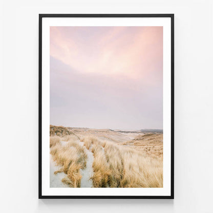 Ameland Dunes
