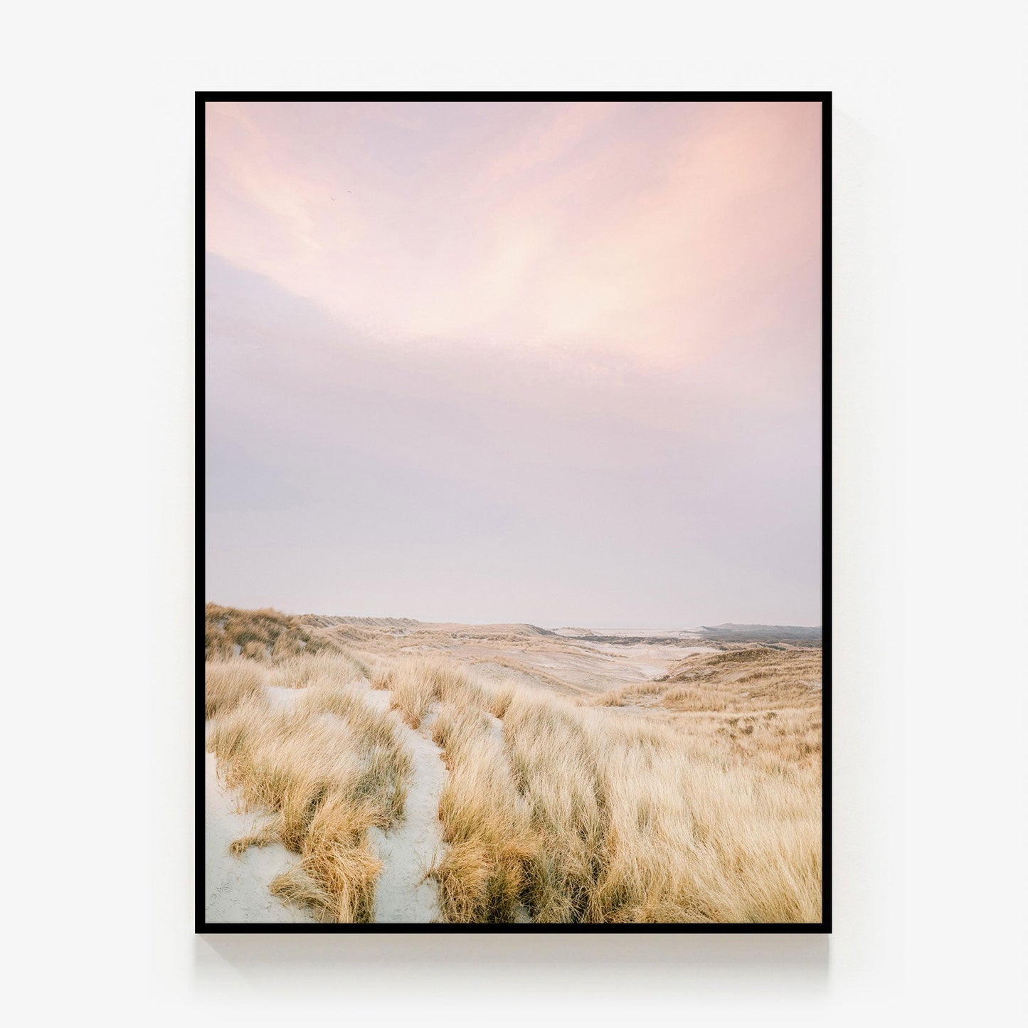 Ameland Dunes Canvas