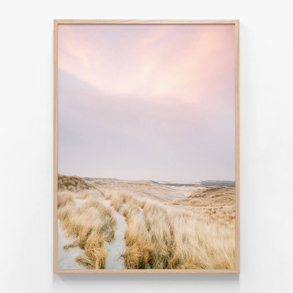 Ameland Dunes