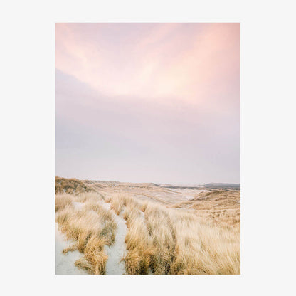 Ameland Dunes