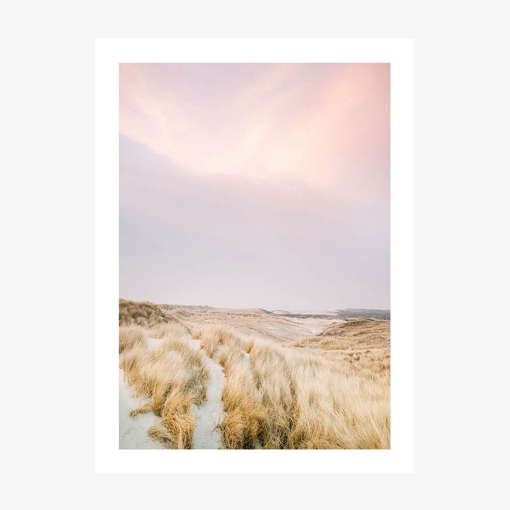 A photo wall art print featuring coastal grass dunes