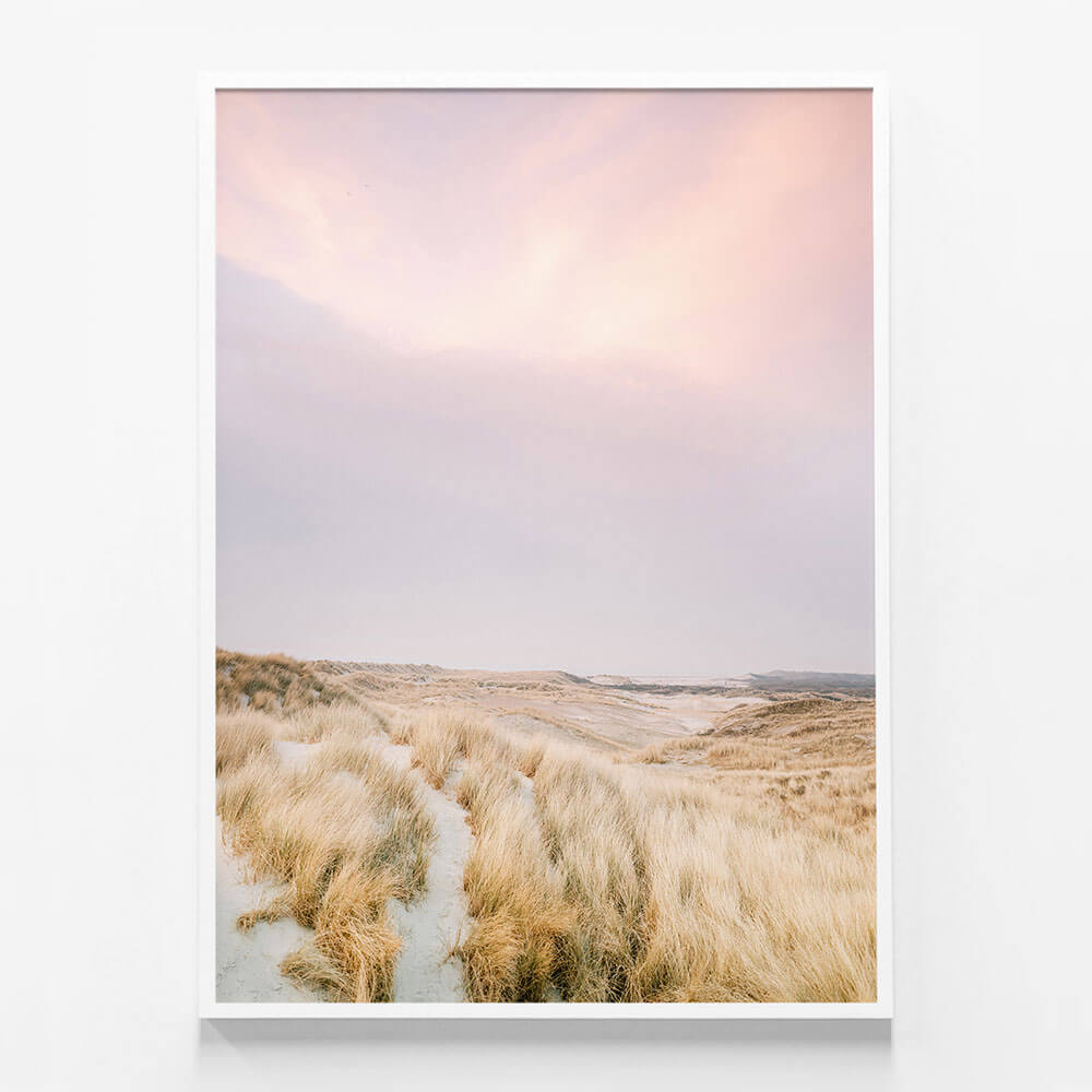 Ameland Dunes