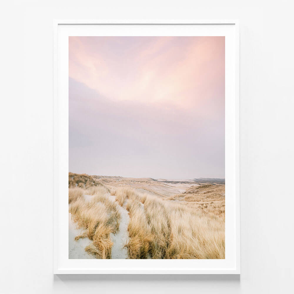 Ameland Dunes