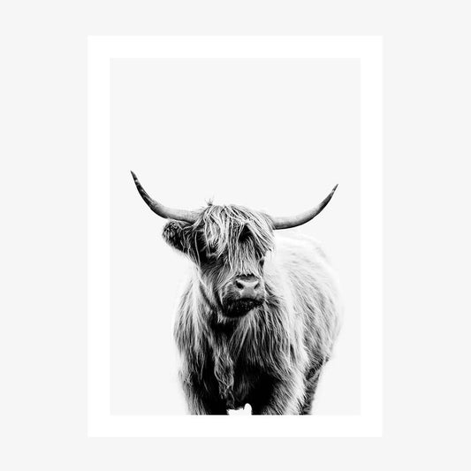 A black and white art print of a highland cow with long horns, looking directly at the camera.