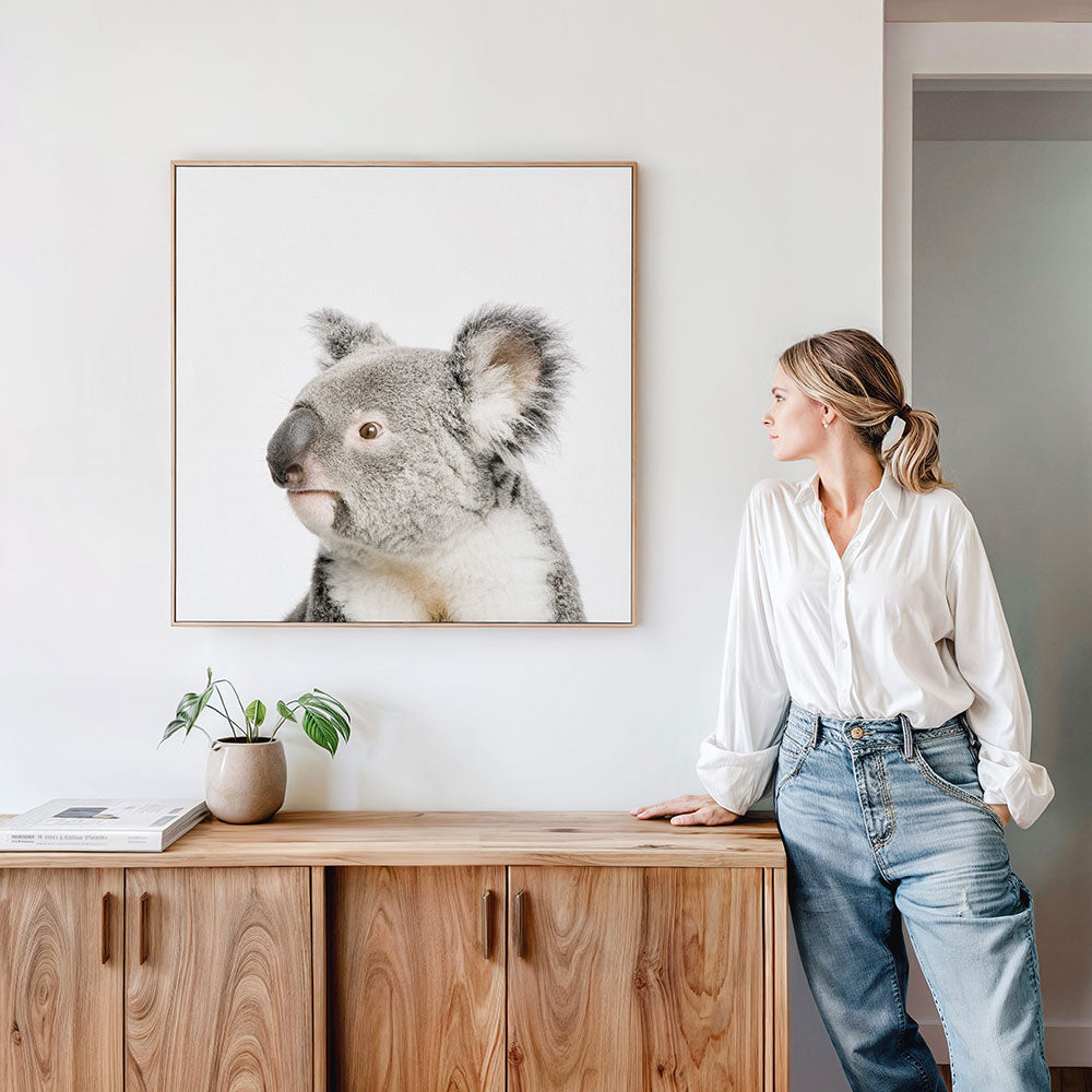 Koala Canvas
