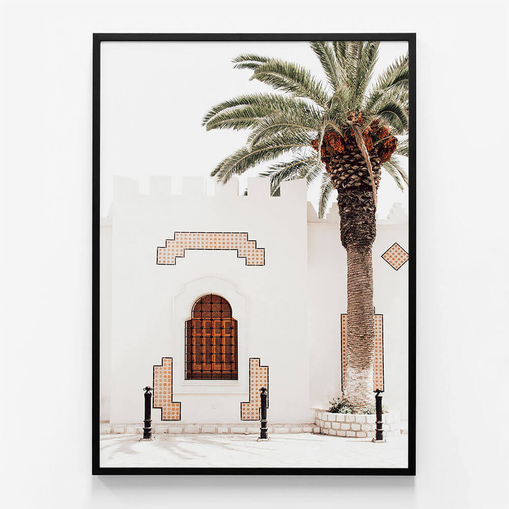 Arabian Palm