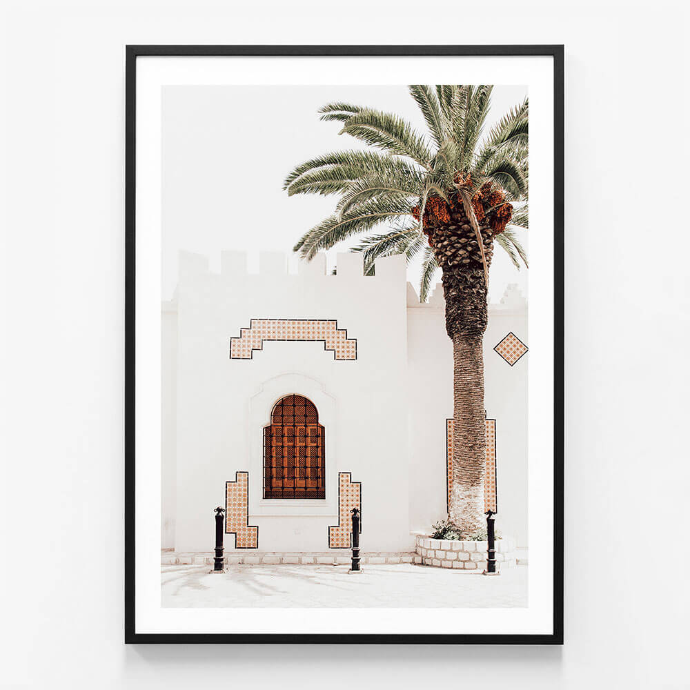 Arabian Palm