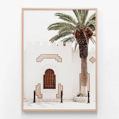 Arabian Palm