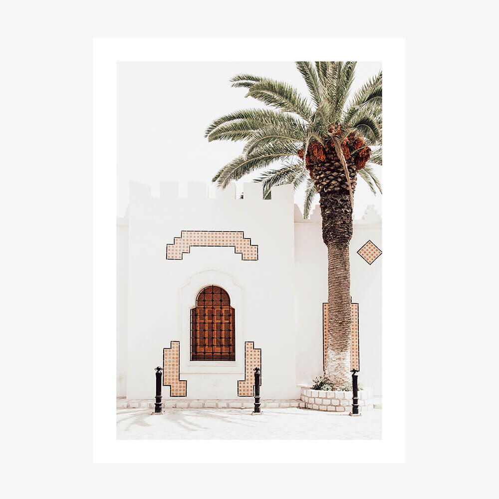 Arabian Palm