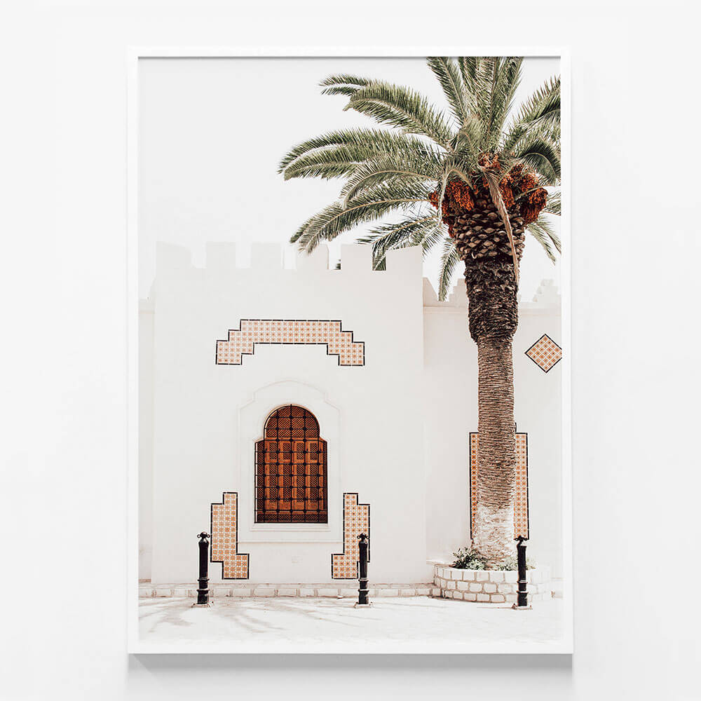 Arabian Palm