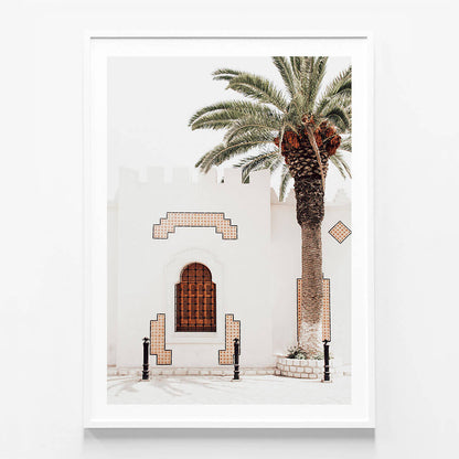 Arabian Palm