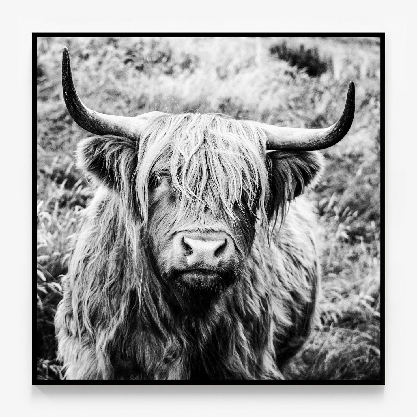 Archibald Canvas