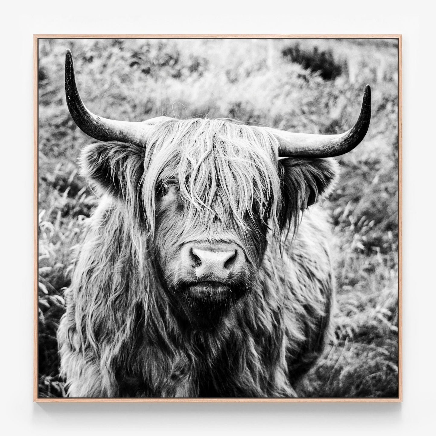 Archibald Canvas print in oak frame