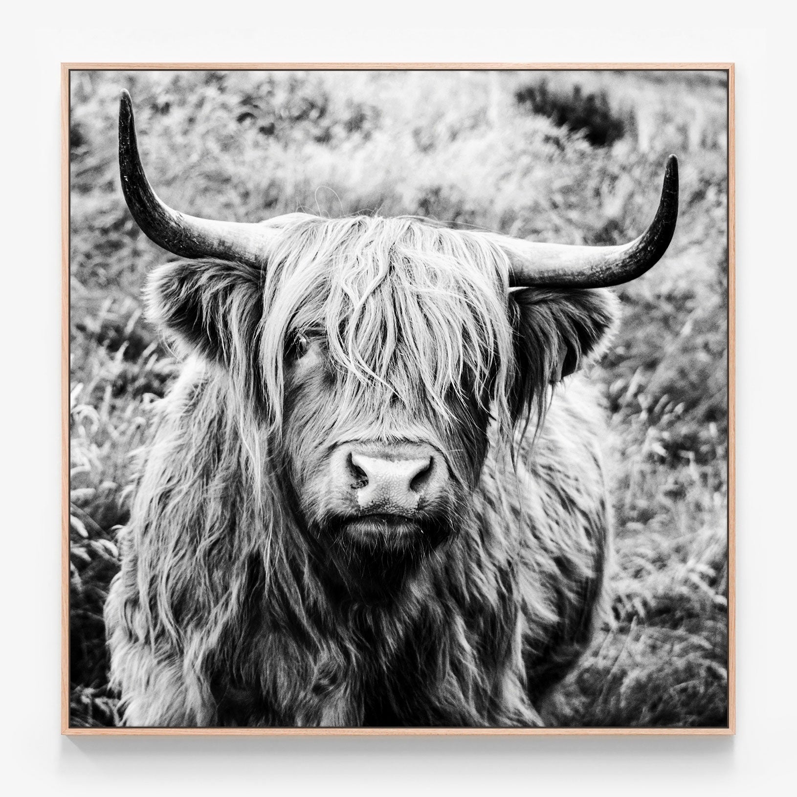 Archibald Canvas print in oak frame
