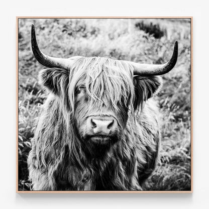 Archibald Canvas print in oak frame